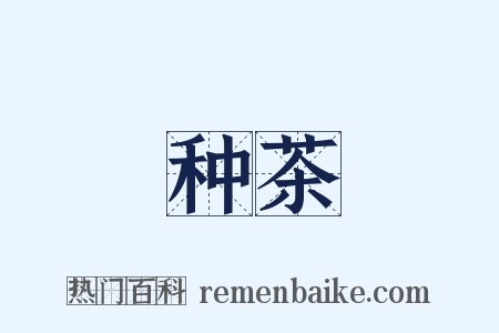 种茶是什么意思的图片